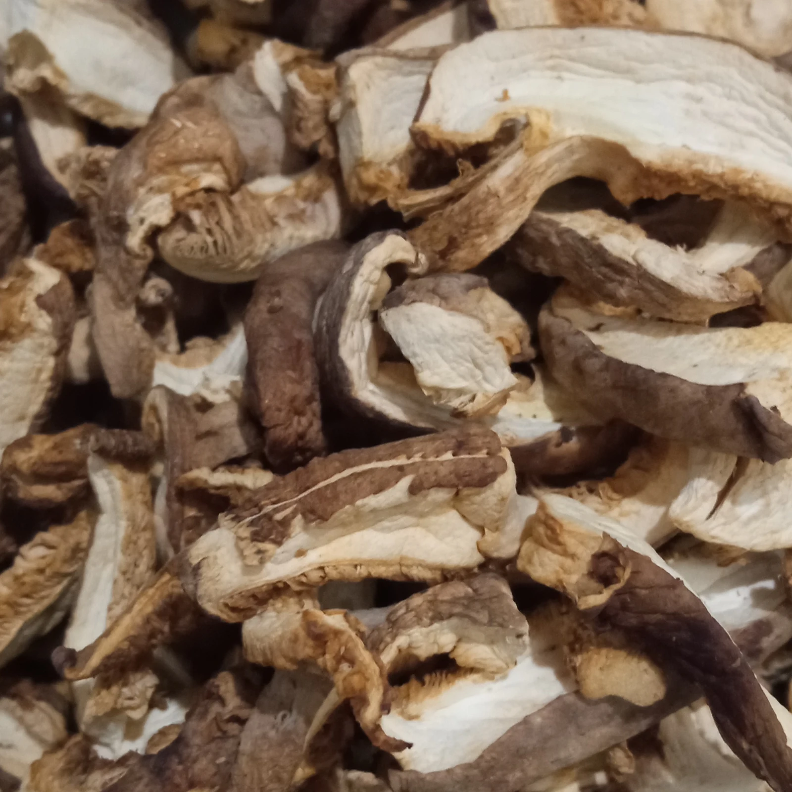 Shiitake Desidratado